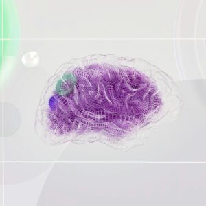 AI training voorbeeld